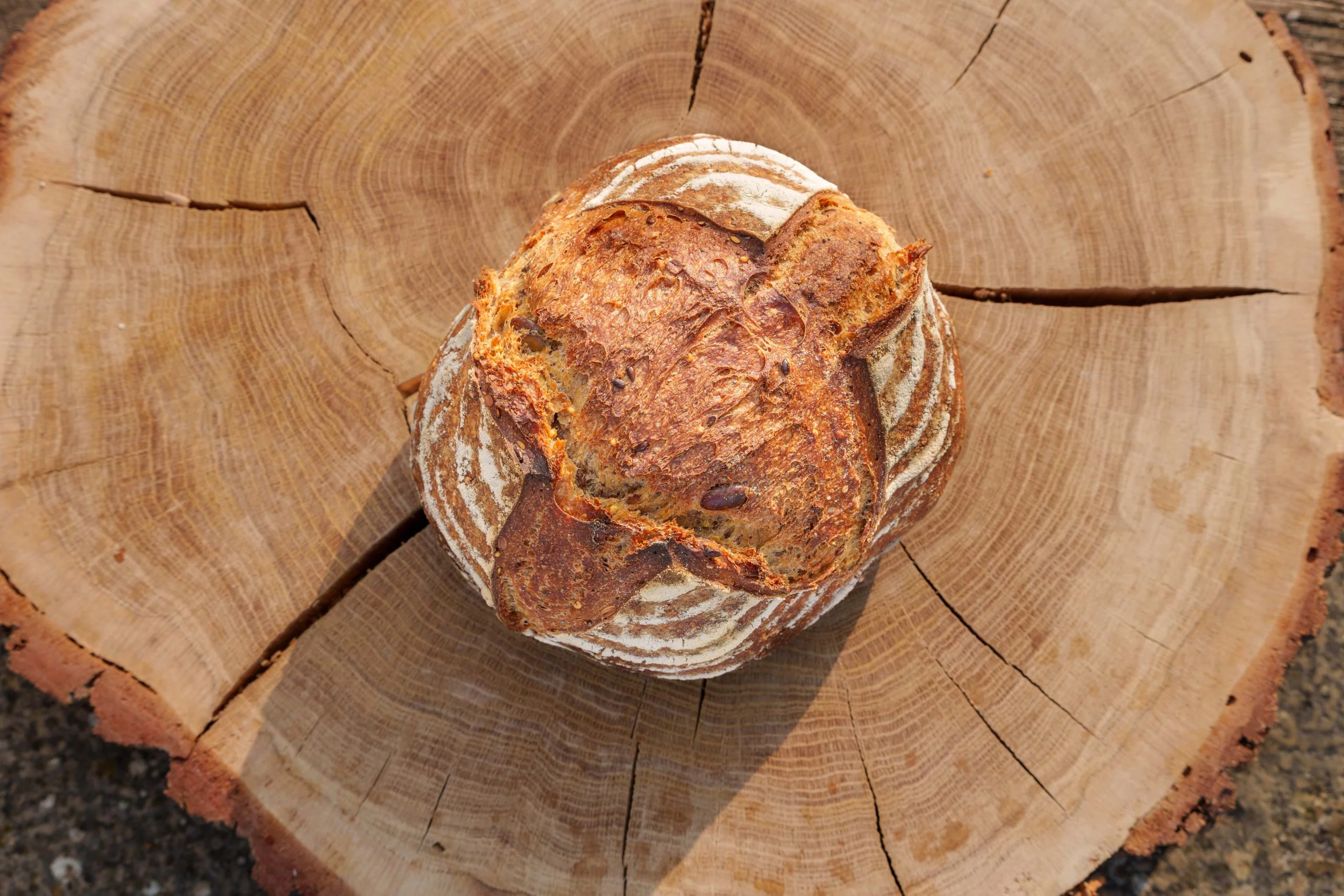 image du produit Le Gillotin