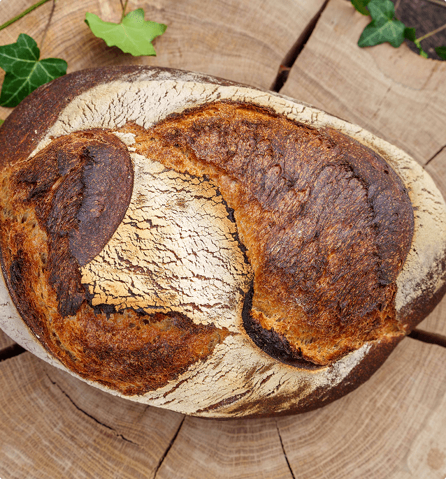 image du produit La Gillotine